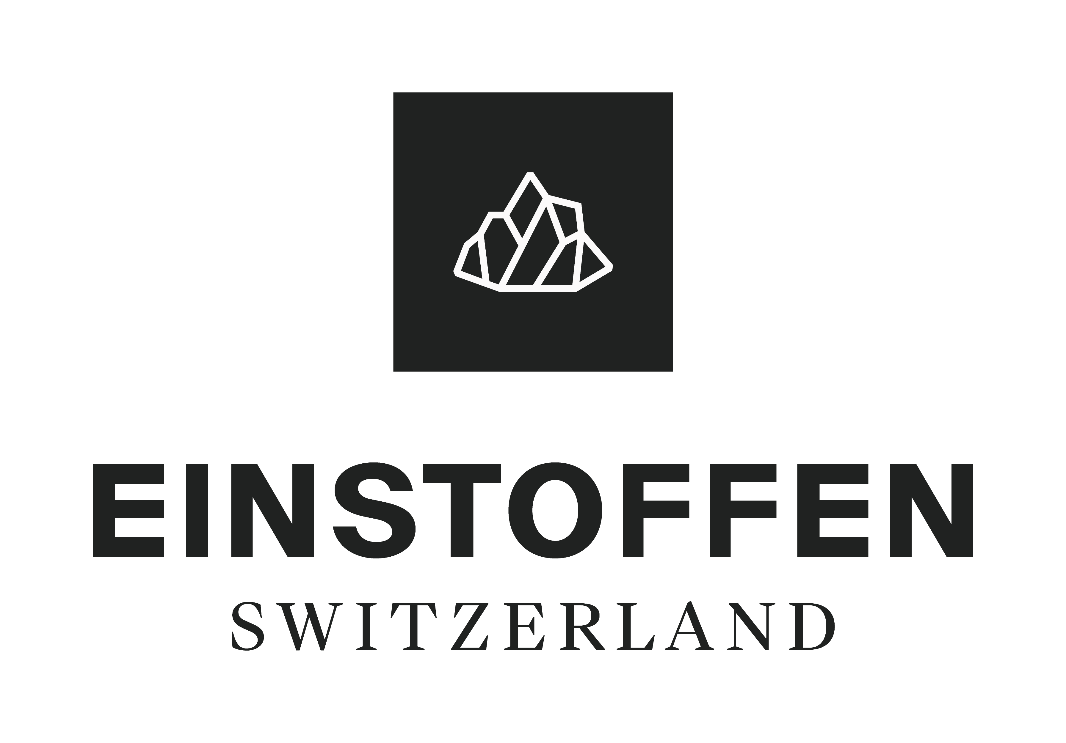 EINSTOFFEN Logo Main