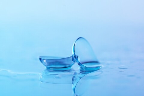 Shutterstock 2617127535